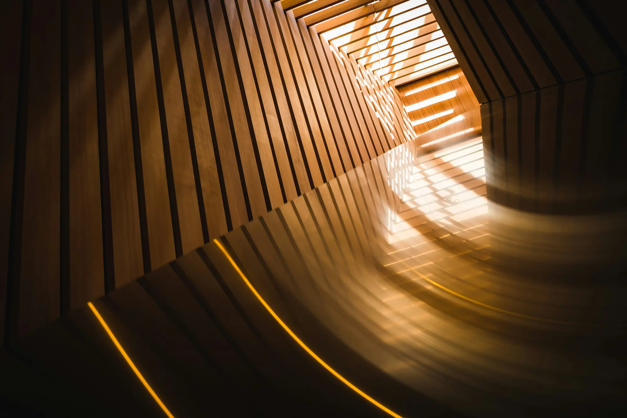 Warm light across curved wooden architecture