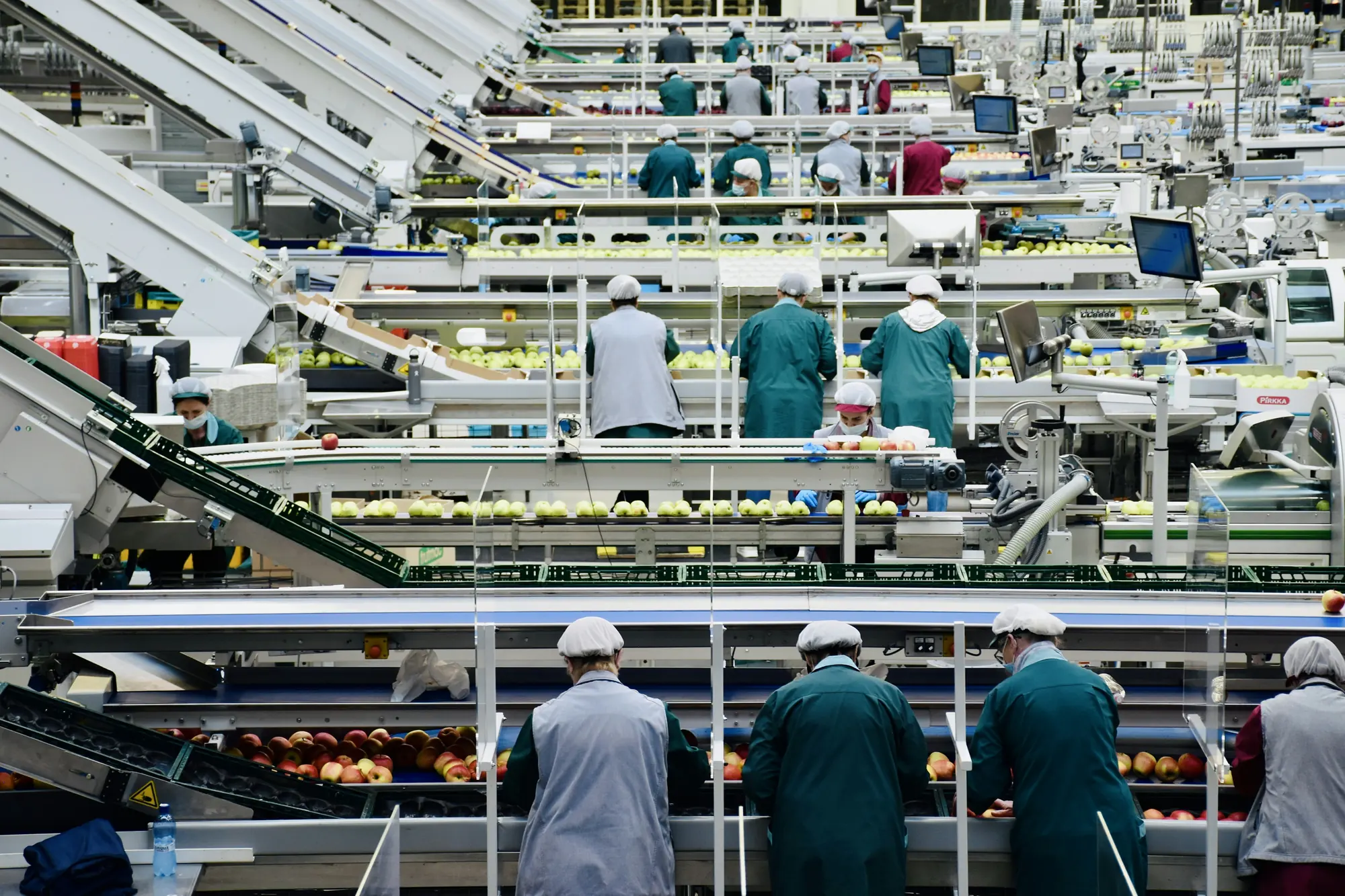 Workers on a food production line