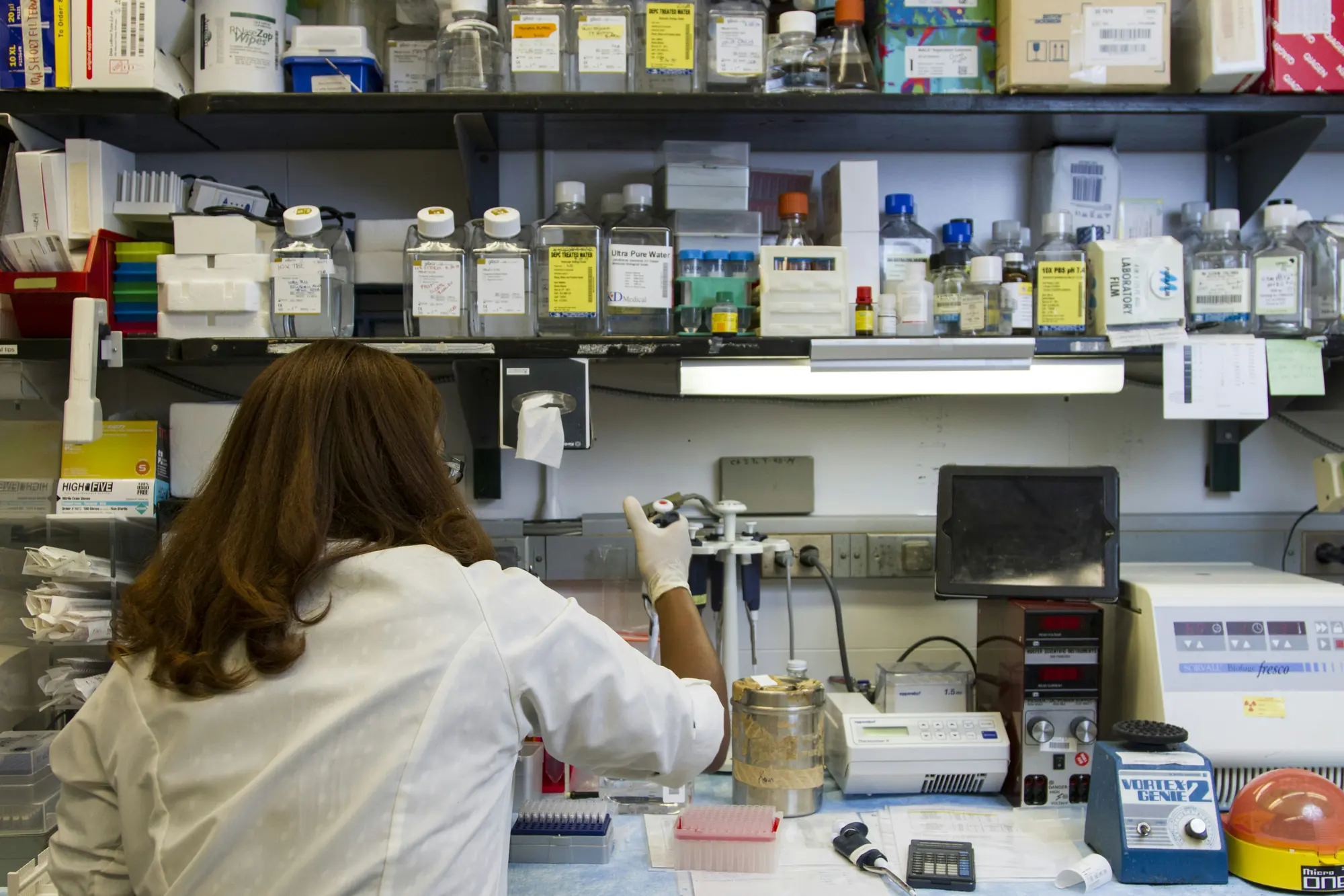 A researcher at work in a busy lab